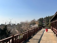 -东方熊牧场