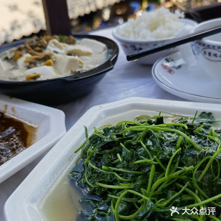 在朱家角挑一家河边农家乐吃吃吧