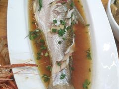 清蒸白条鱼-百家鲜·杭帮菜