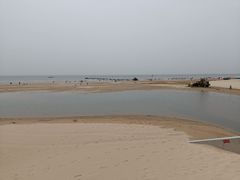 -日照海滨国家森林公园