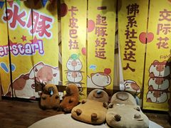 -萌宠奇缘