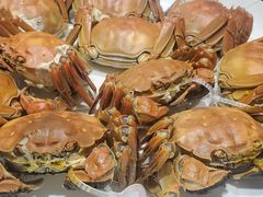 -皇朝尊会(龙之梦大酒店)