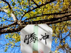 -腾冲国萍农家乐