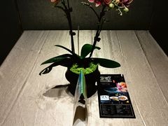 -北京泰富酒店-柏景轩中餐厅