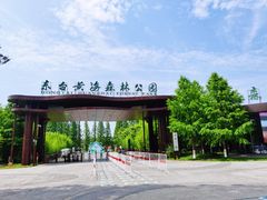 -黄海国家森林公园