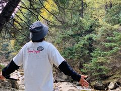-芦芽山旅游度假区