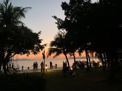 -深圳湾公园(南山区)