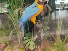 -天津市规划展览馆