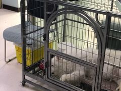 -全心全意连锁动物医院(加州店)