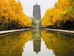 -玲珑塔公园
