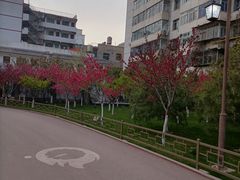 -雁滩公园