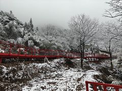 -安吉龙王山风景区