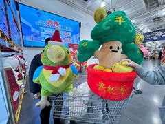 -山姆会员商店(上海浦东店)