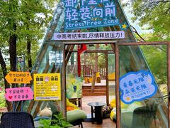 -沂蒙山旅游区云蒙景区(蒙山国家森林公园)