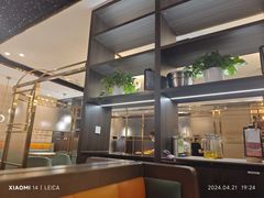 -刘胖子家常菜·蹄花焖藕(富安街店)