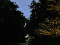 -杭州半山国家森林公园