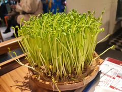 -广顺鑫猪肚鸡(经八路店)