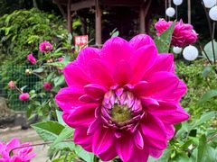 -西岭雪山大飞水景区