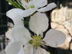 -国家图书馆·古籍馆