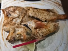-花潮料理艺食馆(SM新生活广场店)