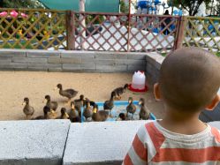 -萌宠亲子动物乐园(槐房万达店)