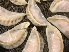 传统蒸饺-松针蔡记蒸饺(花园路店)