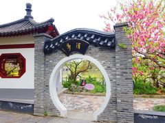 -南汇桃花村