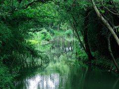 -西溪国家湿地公园