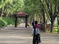 -门城湖公园