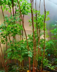 -好友缘酒家·宴会厅(西大店)