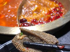 -锅说大脸毛肚重庆老火锅(佐阾店)