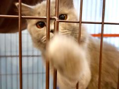 -塔拉苏咖啡(中信丹阳花园店)