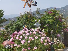 -荒度咖啡(北九水店)