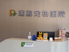 -瑞鹏宠物医院·骨科·猫科·内科(第一中心)