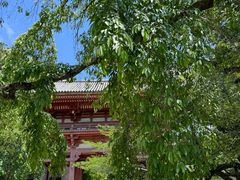 -醍醐寺