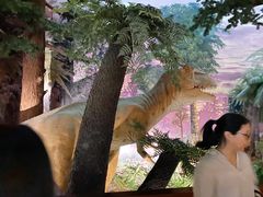 -温州博物馆