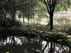 -成都市活水公园