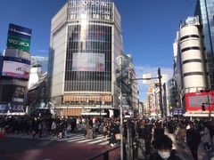 -涩谷全向十字路口