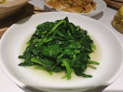 -老吉士酒家(丁香国际店)