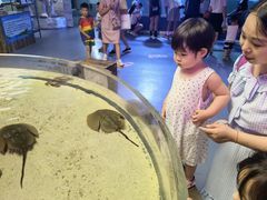 -石家庄海洋公园