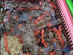 -众味海鲜大排档·活海鲜·潮汕味(南澳店)