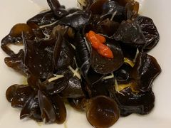 凉拌木耳-鼎泰丰(南西店)