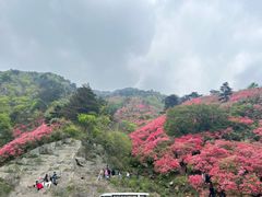 -木兰云雾山