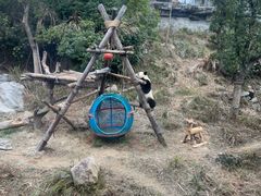 -宁波野生动物园