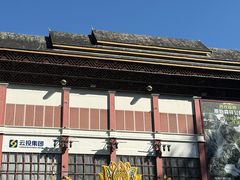 -西双版纳原始森林公园