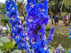 -人民公园(罗湖区)