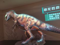 -自贡恐龙博物馆