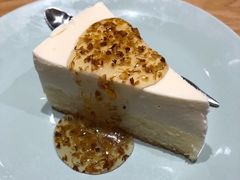 桂花酸奶蛋糕-古树酸奶(八廓南街店)