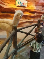 -酷嗒动物文化乐园(cutezoo西溪乐天城店)