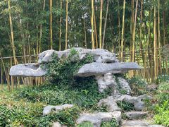 -个园